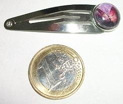 Imgp0809