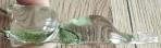 Res modelea chaton9b