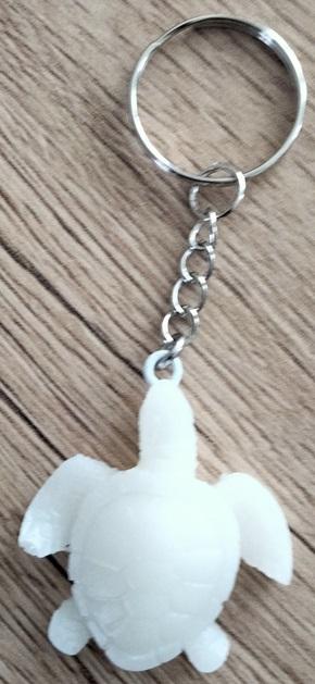 Res pc tortue02