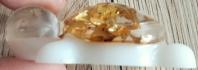 Res tortue 02b