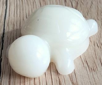 Res tortue 05c