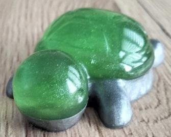 Res tortue 09a
