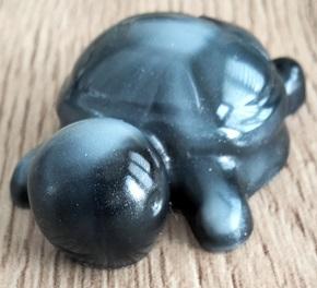 Res tortue 08a